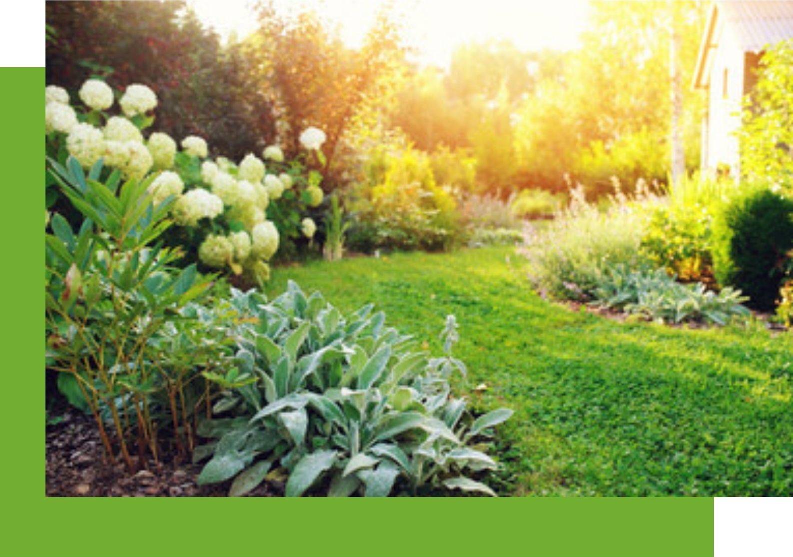 jardin fleuri de maison