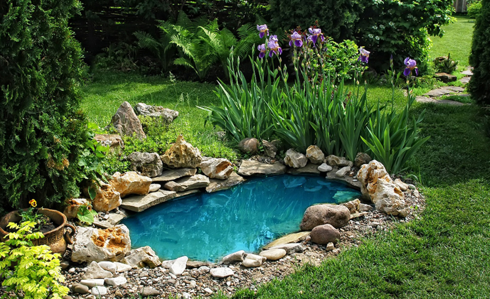 jardin avec un petit point d'eau