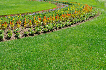 jardin fleuri 2