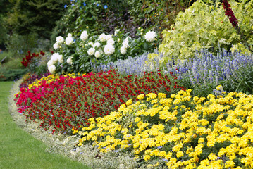jardin fleuri