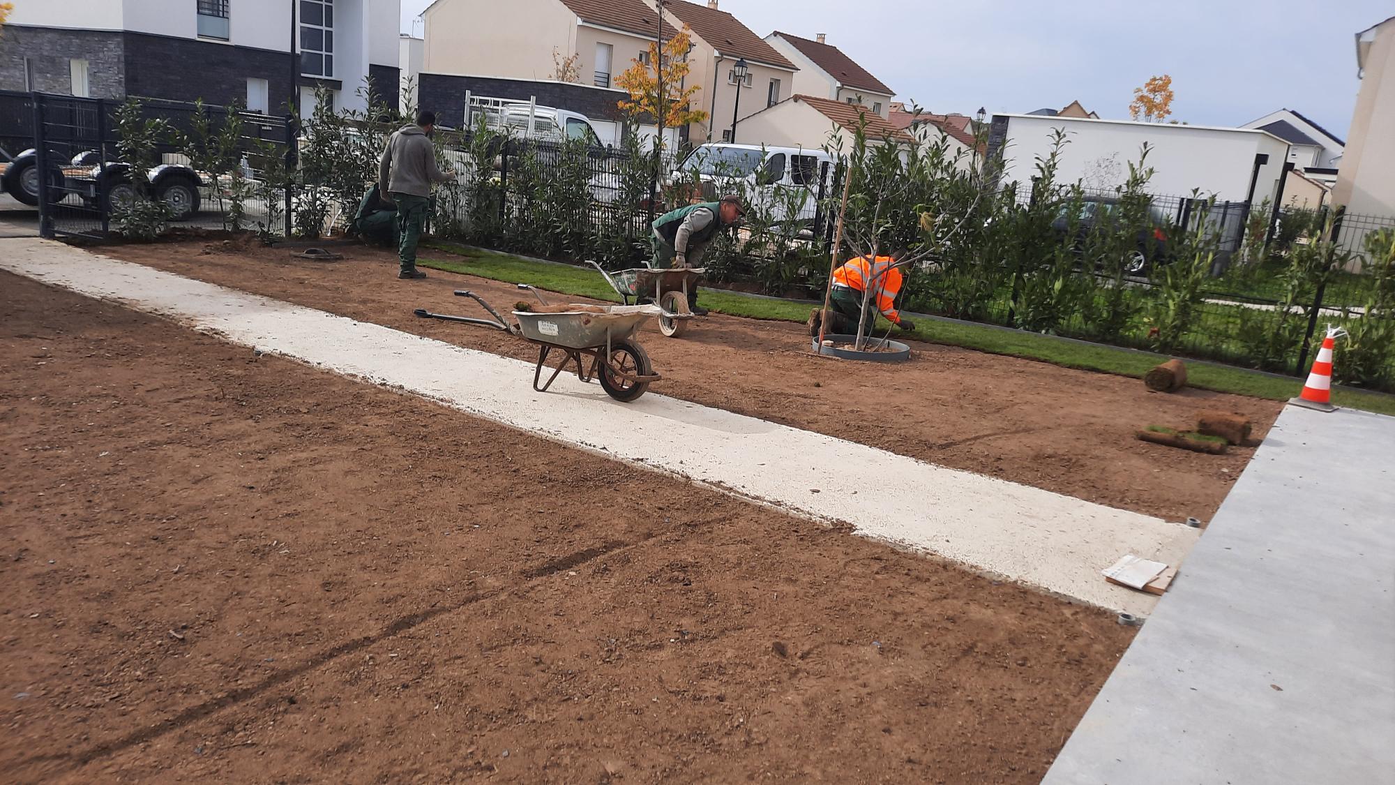 hommes qui travaillent le sol